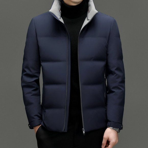 Light Luxury - Men's Fashionable Thickened Down Jacket - Picture 3 of 16
